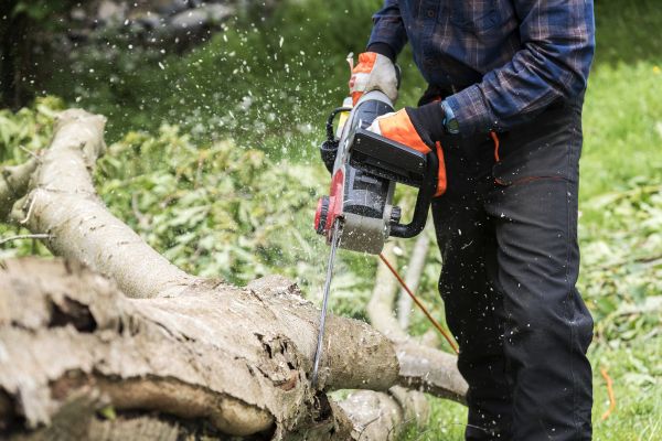 Branch Removal Service in Shawnee