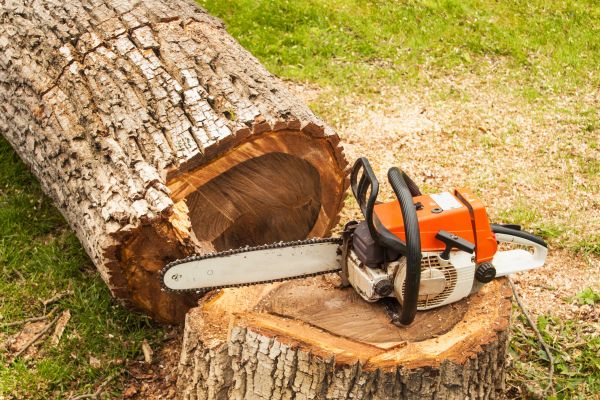 Tree Cutting Service in Shawnee