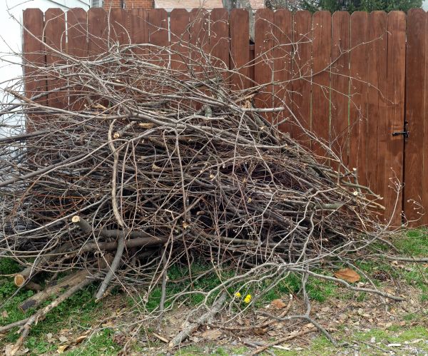 Cost of Dead Branch Removal in Shawnee