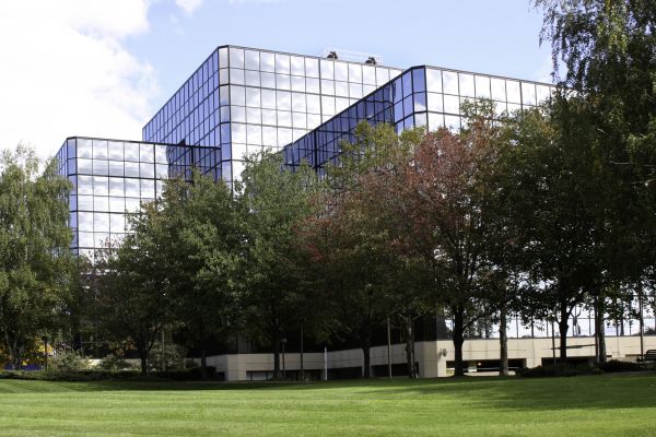 Commercial Tree Trimming in Shawnee