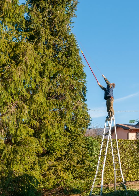 Aerial Tree Pruning