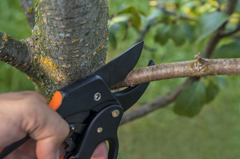Arborist with Pruning Tools