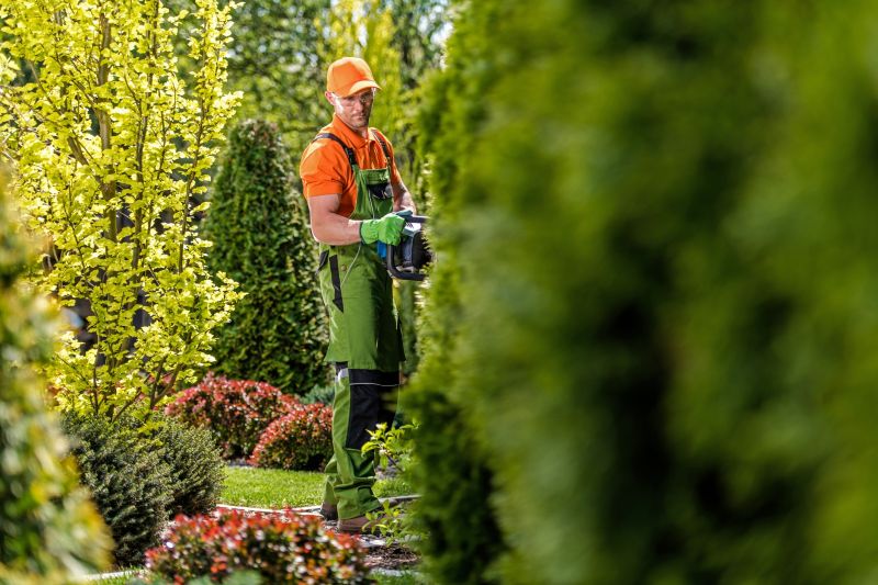 Hedge and Shrub Trimming